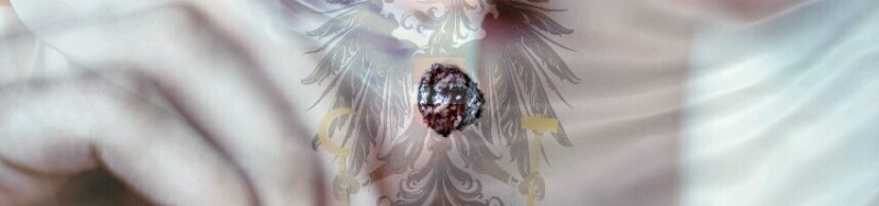 Rakousko ustupuje od zákazu kouření