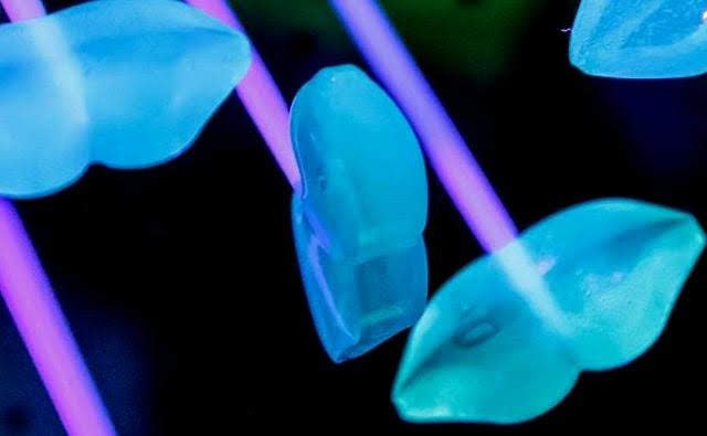 Také ve stanu před Žofín Garden na vás v průběhu silvestrovské noci čeká plno zábavy.jpg Tohle je asi svítící dezert. Že by lízátko?