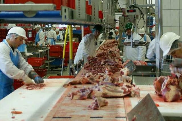 Zpracování masa.jpg Zpracování masa