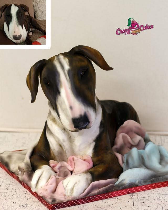 Bulík i s předlohou, dort Lucie Velechovské z Crazy Cakes.jpg Bulík i s předlohou, dort Lucie Velechovské z Crazy Cakes