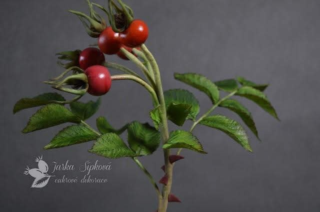 Práce květnové Jarky.jpg Práce květnové Jarky