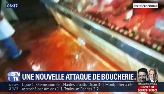 Francouzští vegani opět zaútočili na řeznictví.jpg Francouzští vegani opět zaútočili na řeznictví