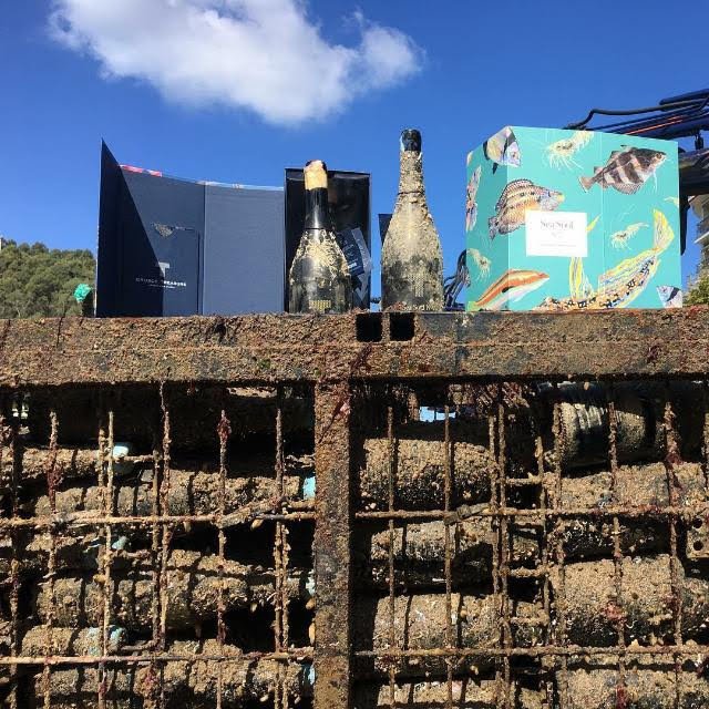 Španělští vinaři nechávají víno zrát na mořském dně.jpg Španělští vinaři nechávají víno zrát na mořském dně