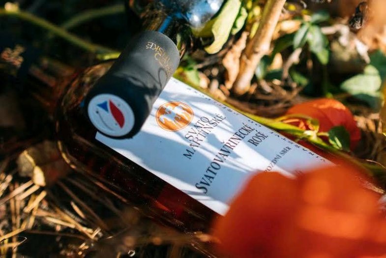 Svatomartinského bude letos rekordní množství.jpg Svatomartinského bude letos rekordní množství