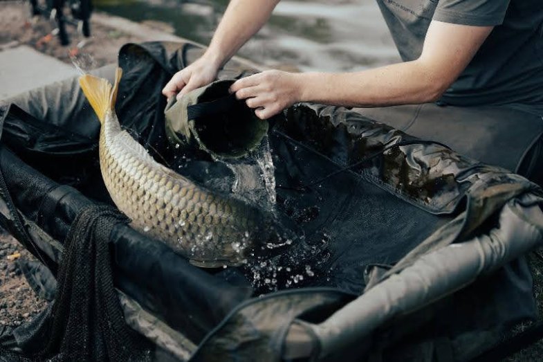Jó jó Vánoce v gastru.jpg Jó jó Vánoce v gastru
